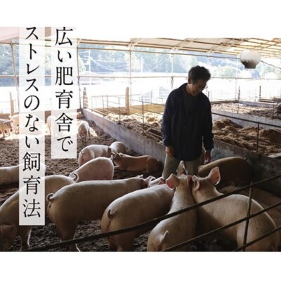 【高知のブランド豚/ゆず豚】大人気の3部位スライスセット1.5㎏　112009