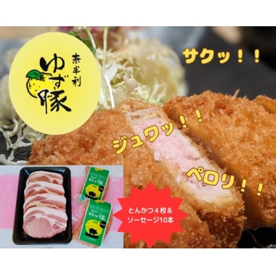 【高知のブランド豚/ゆず豚】ジューシーとんかつ&ゆず豚100%ソーセージ　112013