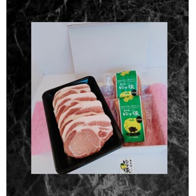 【高知のブランド豚/ゆず豚】ジューシーとんかつ&ゆず豚100%ソーセージ　112013