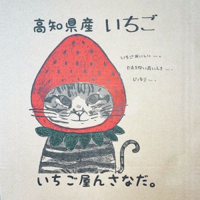 冷凍いちご4種　500g×3袋　110006