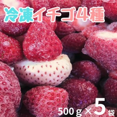 冷凍いちご4種　500g×5袋　110007