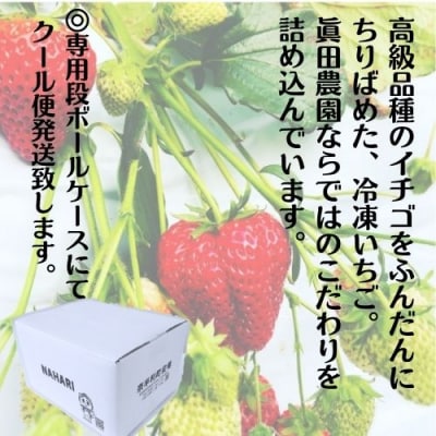 冷凍いちご4種　500g×5袋　110007