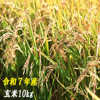 【令和7年産】玄米10kg　120010-7