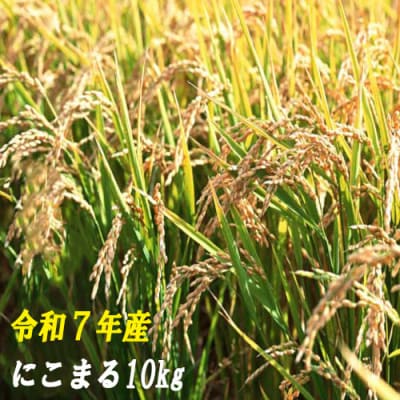【令和7年産】にこまる10kg　120004-7