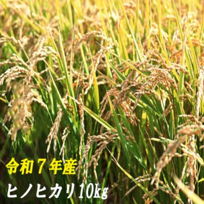 【令和7年産】ヒノヒカリ10kg　120001-7