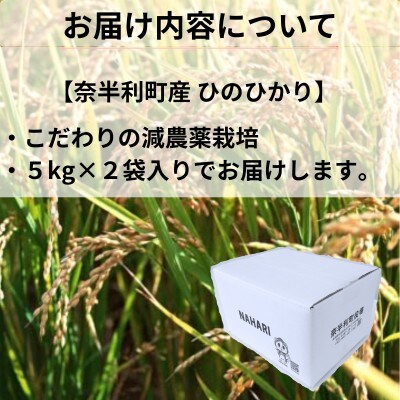 【令和7年産】ひのひかり10kg　120001-7