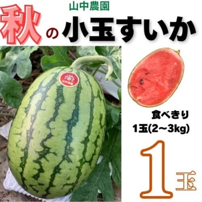 【10月下旬～順次発送】山中農園　小玉スイカ1玉　103003