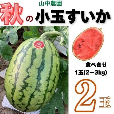 【10月下旬～順次発送】山中農園　小玉スイカ2玉　103004