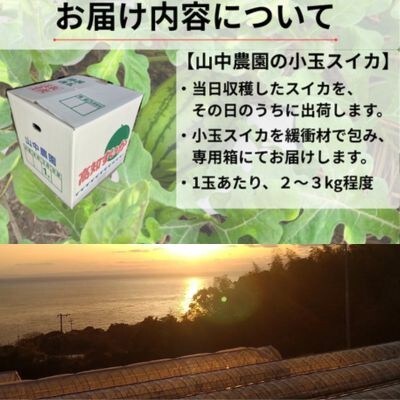 【10月下旬～順次発送】山中農園　小玉スイカ3玉　103005