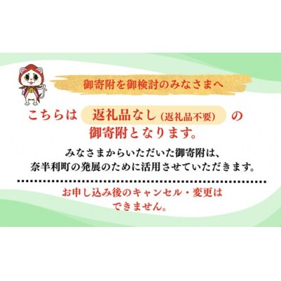 【応援寄附金】高知県奈半利町 1口 10万円 返礼品なしのご寄附　【奈半利町役場】999999-4