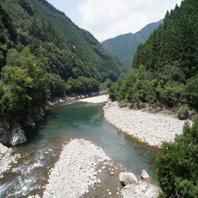奈半利川　年間遊漁券(対象年齢:70歳以上)107010