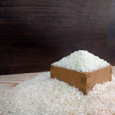 【令和7年産】コシヒカリ10kg　120028-7