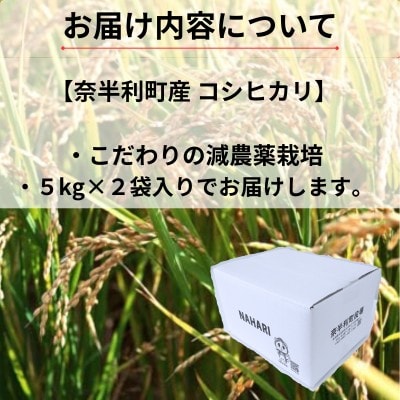 【令和7年産】コシヒカリ10kg　120028-7
