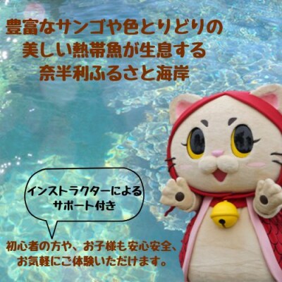 サップ+シュノーケリング60分遊び放題プラン利用券(1名)116025