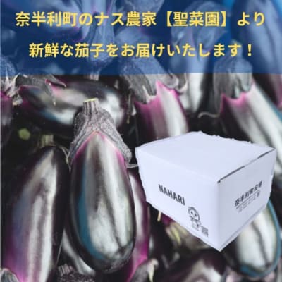 奈半利町の茄子 【慎太郎】2kg 131001