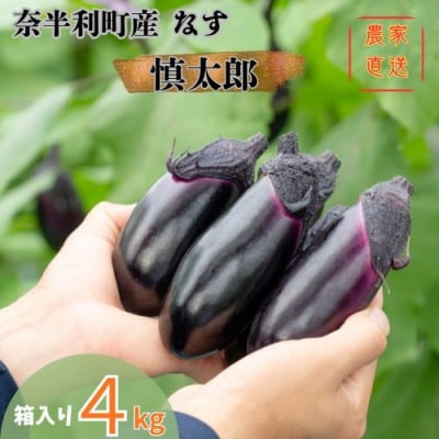 奈半利町の茄子 【慎太郎】4kg 131002