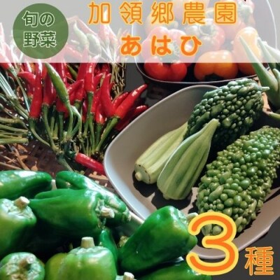 露地栽培にこだわった季節の野菜ボックス　130001