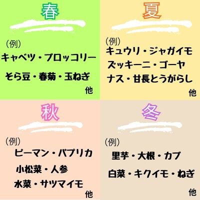 露地栽培にこだわった季節の野菜ボックス　130001