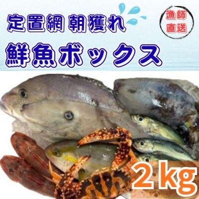 定置網朝どれ鮮魚ボックス2kg　133001