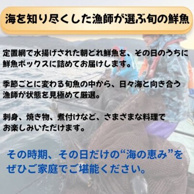 定置網朝どれ鮮魚ボックス2kg　133001