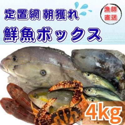 定置網朝どれ鮮魚ボックス4kg　133002