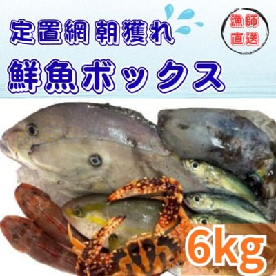 定置網朝どれ鮮魚ボックス6kg　133003