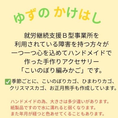 手作り「こいのぼり編みカゴ」134004