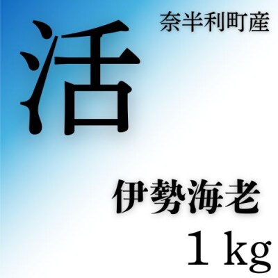 活　伊勢海老1kg　133004