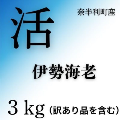 活　伊勢海老3kg(訳あり品含む)　133005
