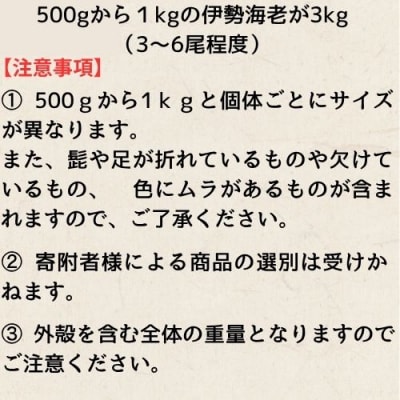 活　伊勢海老3kg(訳あり品含む)　133005