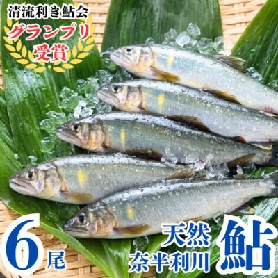 奈半利川の友釣り天然アユ(冷凍)6尾　107011