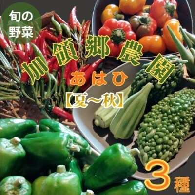 高知の自然の恵みたっぷりこだわり野菜ボックス(夏～秋)　130002