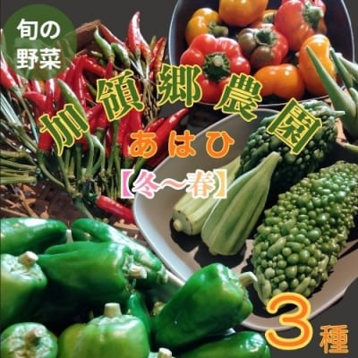 高知の自然の恵みたっぷりこだわり野菜ボックス(冬～春)　130003