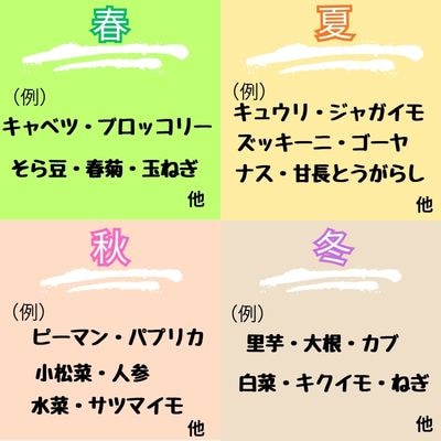 高知の自然の恵みたっぷりこだわり野菜ボックス(冬～春)　130003