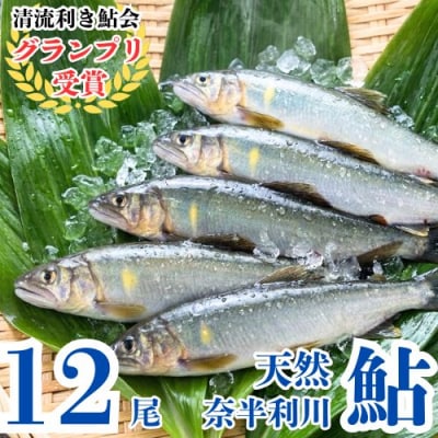 【さとふる限定】奈半利川の友釣り天然アユ(冷凍)12尾　107012A