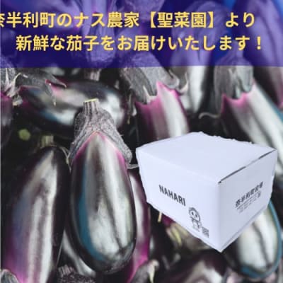 奈半利町の茄子 【慎太郎】定期便20本　131902