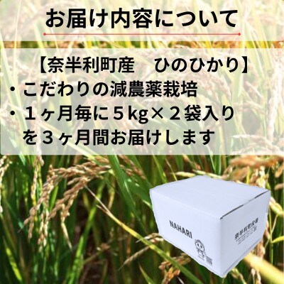 【令和8年産】ヒノヒカリ定期便10kg ×3か月　120901-8