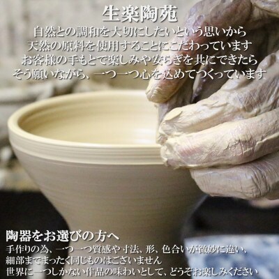 生楽陶苑 白砂天目 茶杯 生楽陶苑 白砂天目 茶杯 - メルカリ
