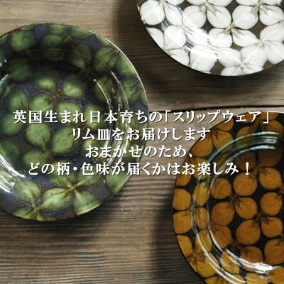 スリップウェアリム皿2枚(柄、色おまかせ)【MI550】