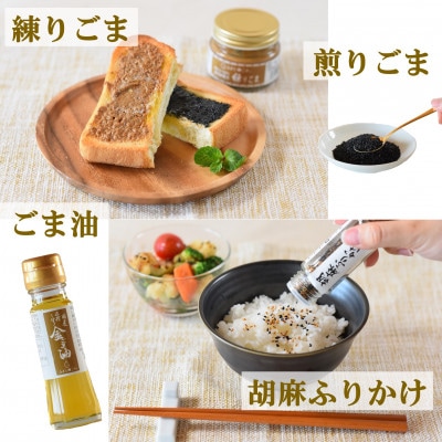 みまたんごま 4種セット【A-1401】