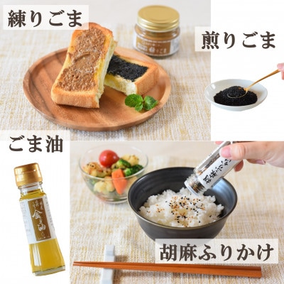 みまたんごま 4種セット【A-1401】