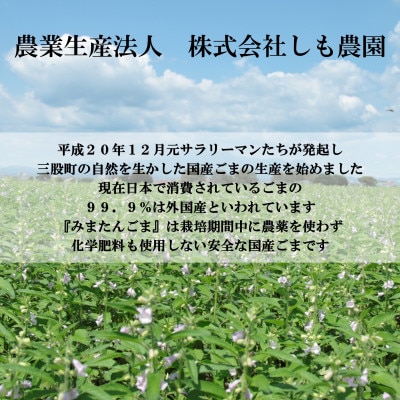 みまたんごま 4種セット【A-1401】
