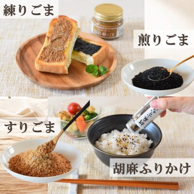 みまたんごま 4種セット【A-1401】