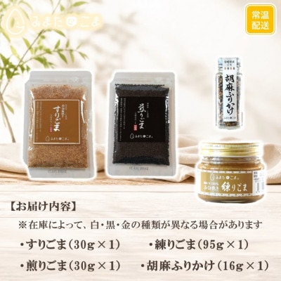 みまたんごま 4種セット【A-1401】