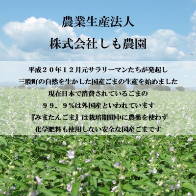 みまたんごま 4種セット【A-1401】