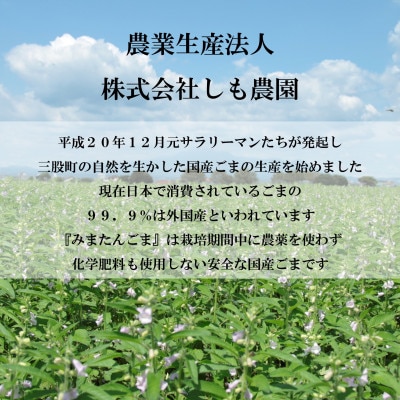 おまかせ!みまたんごま御満悦セット(5種)【B-1402】