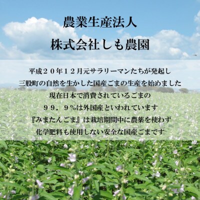 みまたん金ごま 4種セット【MI134】