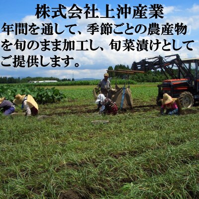 上沖漬物詰め合わせ(16種)