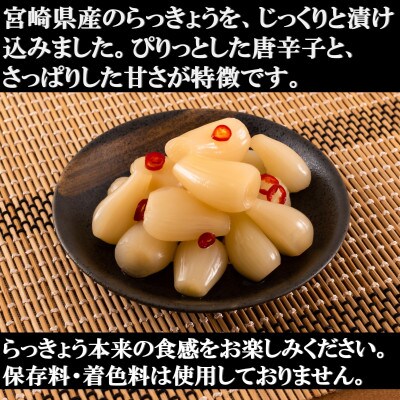 純国産ぴり辛らっきょうセット(130g×10袋・計1.3kg)【MI013】