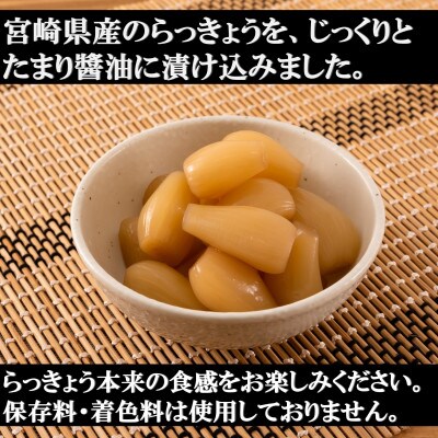 純国産たまりらっきょうセット(130g×10袋・計1.3kg)【MI012】